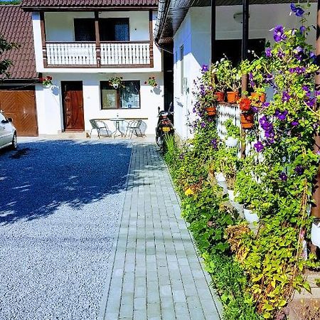 Casa Sallai Apartment Совата Екстериор снимка
