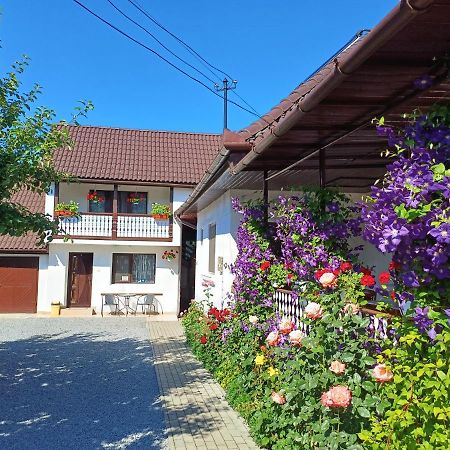Casa Sallai Apartment Совата Екстериор снимка