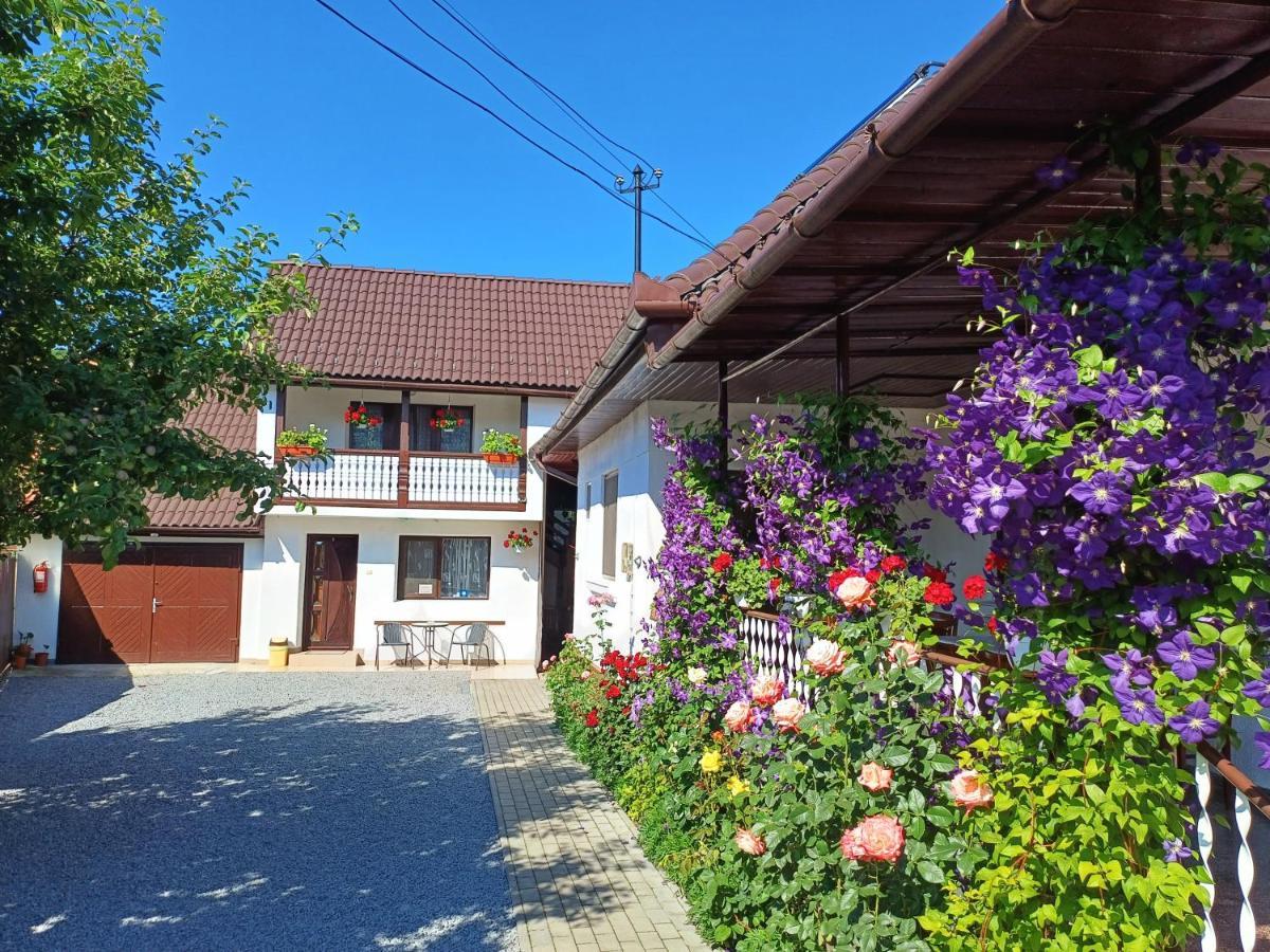 Casa Sallai Apartment Совата Екстериор снимка
